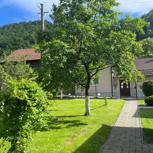 Casa Zorilor – hotel w mieście Şugag
