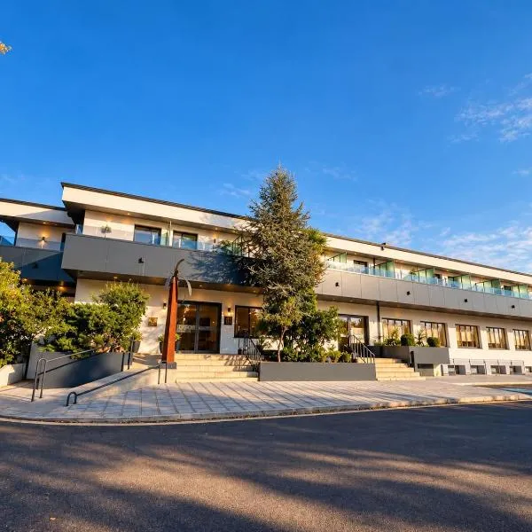 Hotel Valjunco, hotel i Valencia de Don Juan