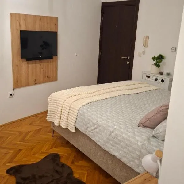 Apartman Vida, hotell i Valjevo