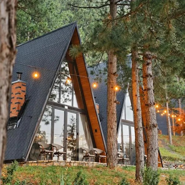 엘바산에 위치한 호텔 Vilat Alpine Golden Gjinar