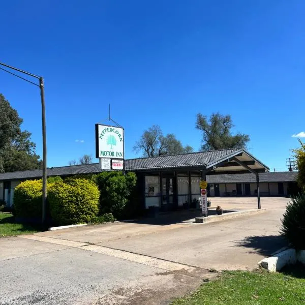 Peppercorn motor inn, מלון בNarromine
