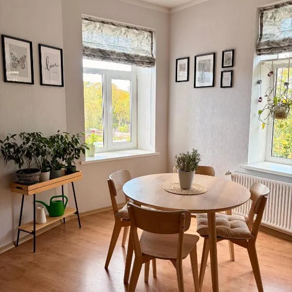 Nice&cozy flat No7 – hotel w Rydze