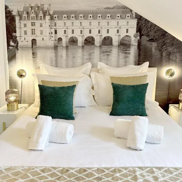 Amboise hyper centre - Cocon Royal à deux pas du Château, Hotel in Amboise