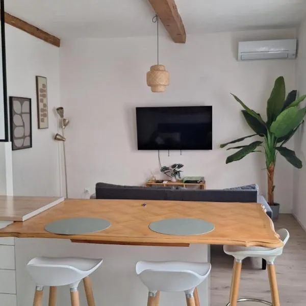Joli T2 lumineux et climatisé à 100m de la Gare, hotel in Perpignan