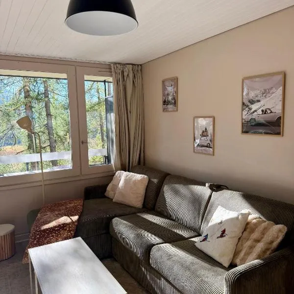 T2 LES FIBIERES Pied des pistes Vue sur les MÉLÈZES, готель у місті Вар