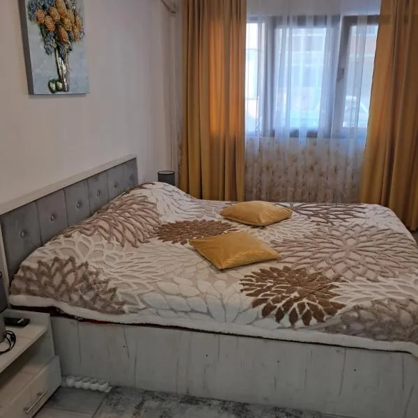 Apartament NECTARIA, hotel em Băile Herculane