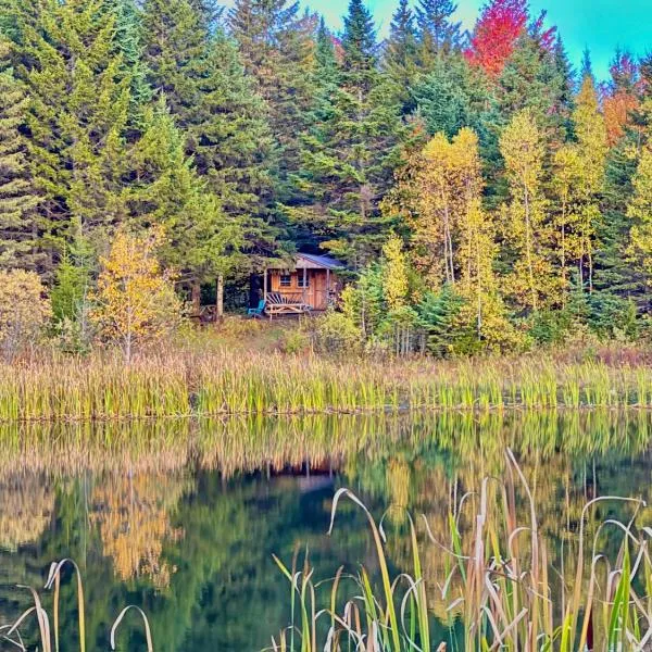 Lookout Cabin, hotel in Barton