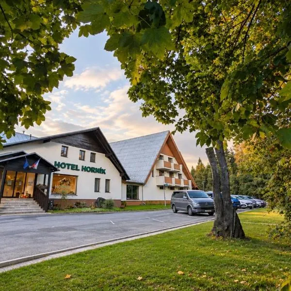 Hotel Horník, Hotel in Saar