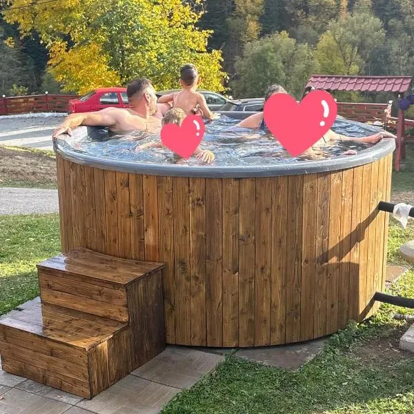 Pensiunea Cabana Viselor ,Apuseni, hotell i Vadu Moţilor