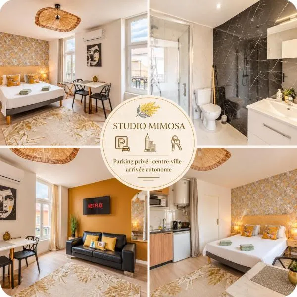 Mimosa Roanne centre-ville - Parking & Clim, hotell sihtkohas Roanne