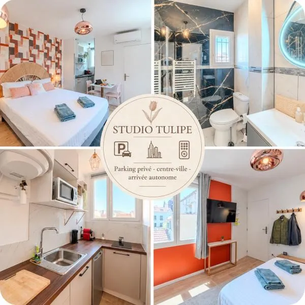 Tulipe Roanne centre-ville - Parking & Clim, hotell sihtkohas Roanne