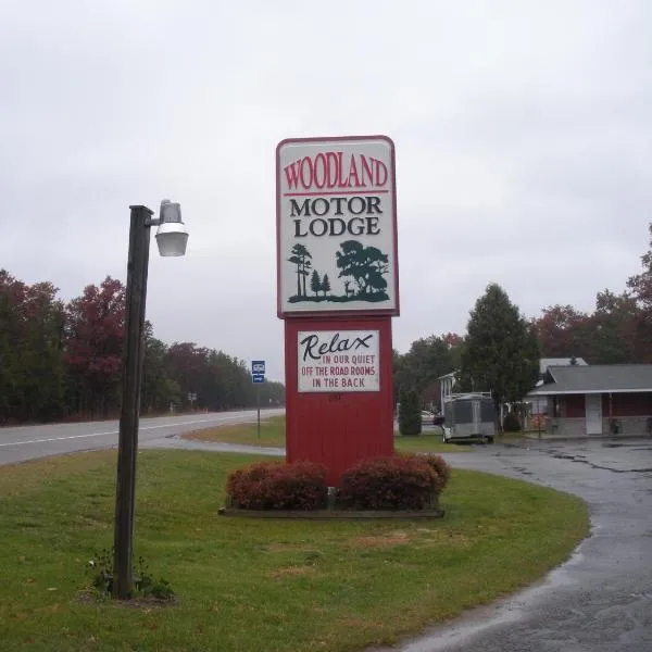 Woodland Motor Lodge, hotel in Grayling