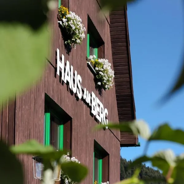 Pension Haus am Berg, hotel u gradu 'Kurort Oberwiesenthal'