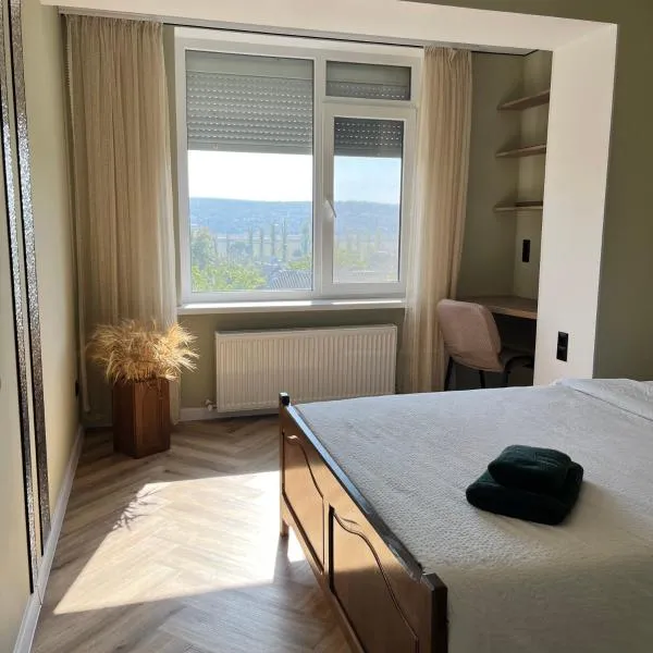 Modern Olive Home, hotel em Căuşeni
