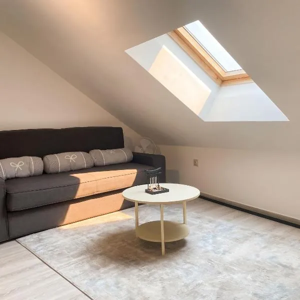 Spacious apartment in Charleroi 100 m² with parking 5 ppl, хотел в Шарлероа