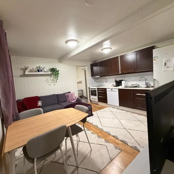 Sentral 2 Bedroom Apartment Med Eli bil lading mulighet、クリスティアンサンのホテル