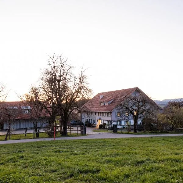 Appartement, hotel i Wangen im Allgäu