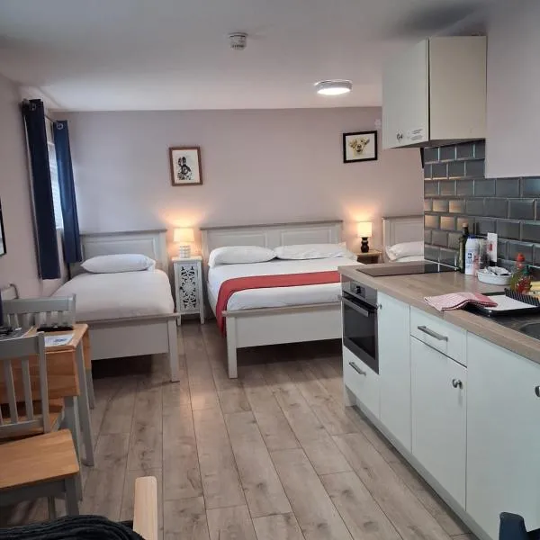 Matty's Pub - Apartment's, hotelli kohteessa Carlow