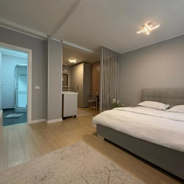 EM04- Studio premium, Hotel in Târgu Jiu