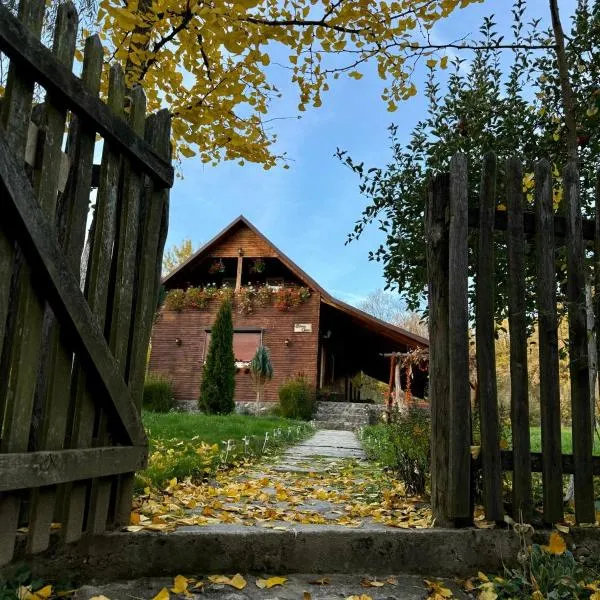 Cabana Oana 5-bedrooms chalet, hotel in Arad