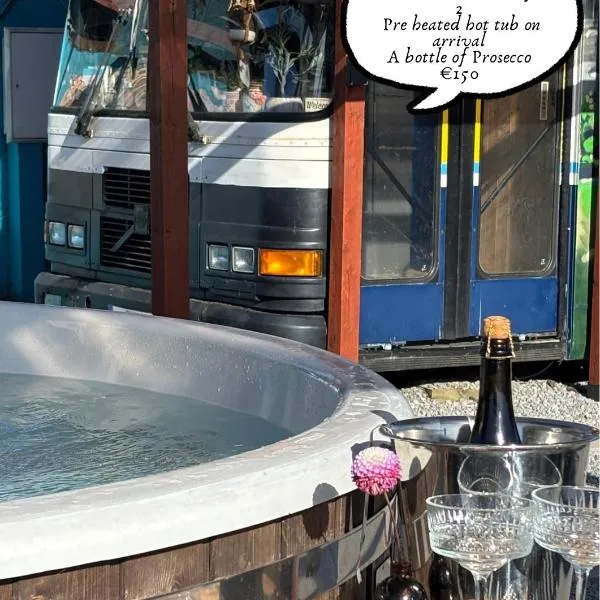 Ballinadee Bus with Hot tub and a sauna on our rescue farm, hotel din Ballinadee