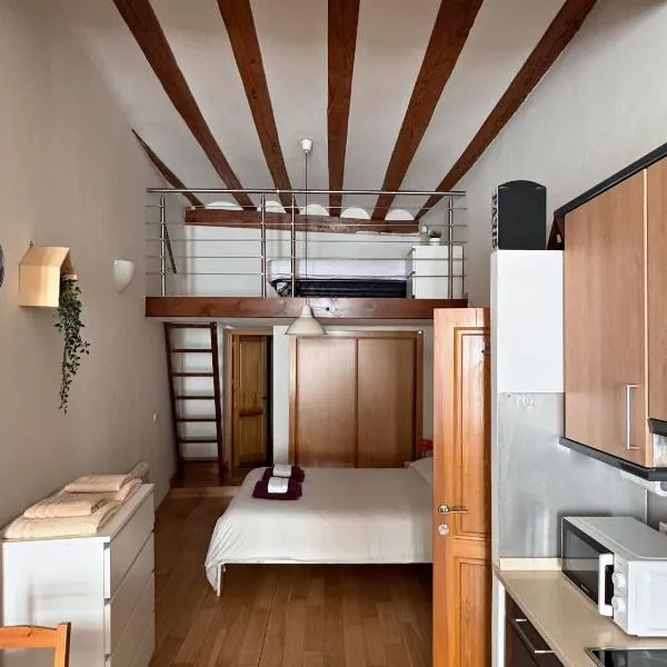 Louro Salina, hotel Molina de Aragónban