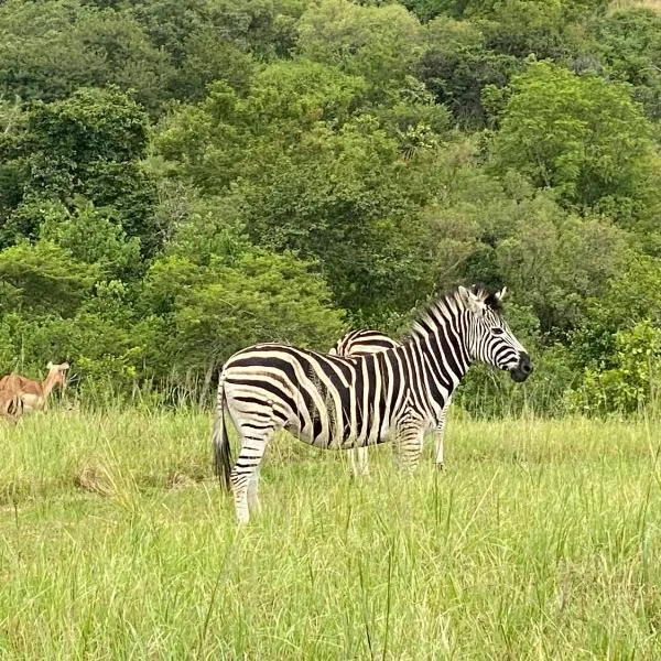 Wide Horizons Mountain Retreat, Eswatini, Swaziland, 26KM from Malkerns, hotel a Malkerns