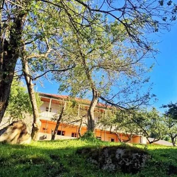 Mushkudiani Manor、メスティアのホテル