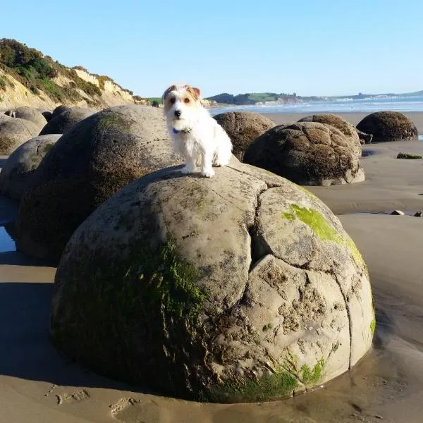 Moeraki Boulders Motel, hotel v destinaci Hampden