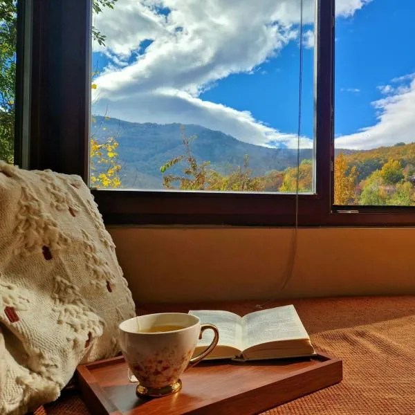 Chalet Mila, hotel u gradu Mavrovo