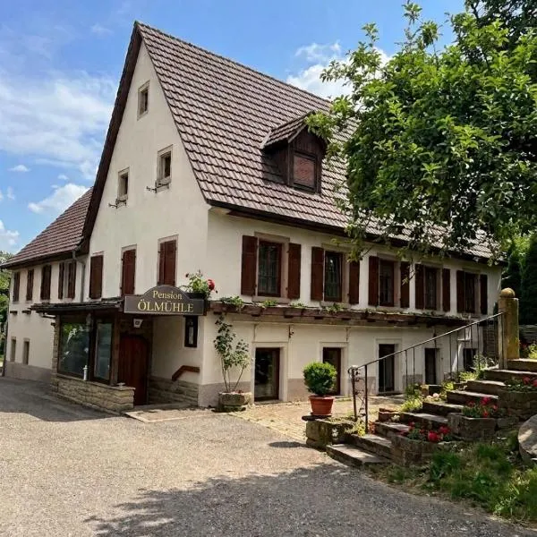 Ölmühle, Hotel in Oberderdingen