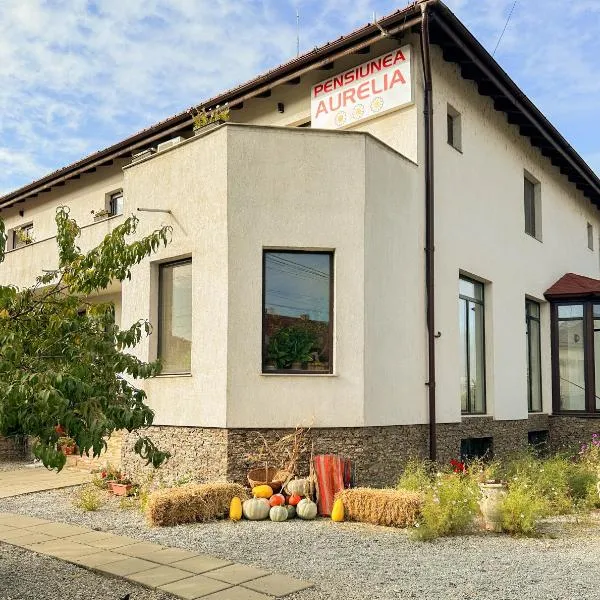 Pensiunea Aurelia, hotel em Şiria