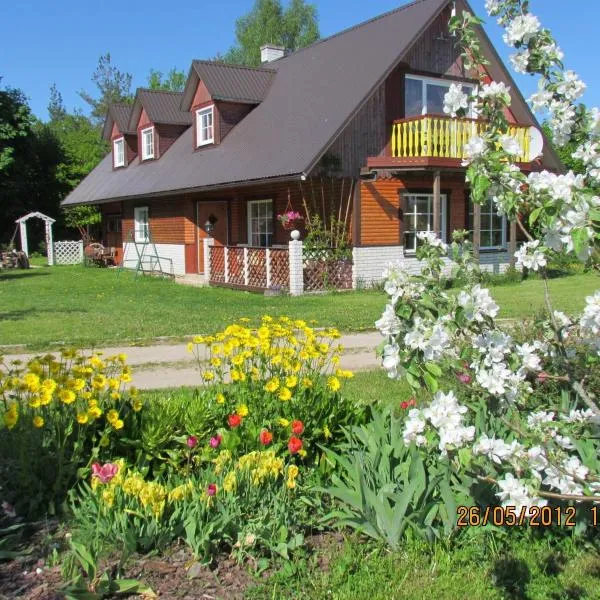 Tõnise Holiday Houses, hotell i Lilbi
