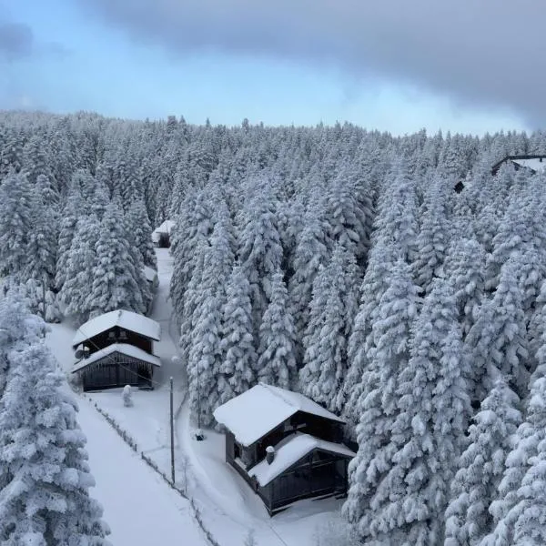 Uludag Orman Koskleri, hotel v destinácii Uludag