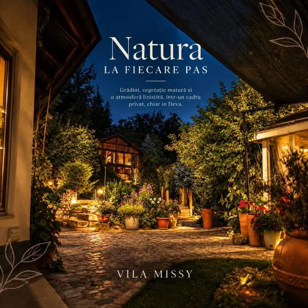 Vila Missy、デヴァのホテル
