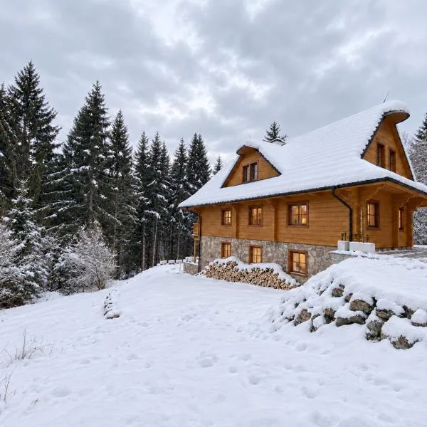 Wellness Drevenica Tale, pool table, up to 12 min to Ski Jasna, Ski Tale, Ski Myto, hotel in Horná Lehota
