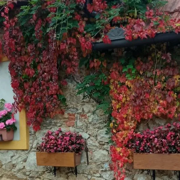 Pension Fanlor, hotel sa Zubčická Lhotka