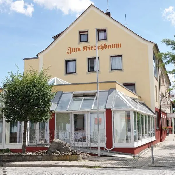 Viesnīca Hotel-Restaurant Zum Kirschbaum Vircburgā