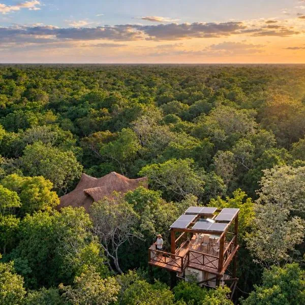 Treehouse Tulum H2Ojos, hotel v destinaci Tulum
