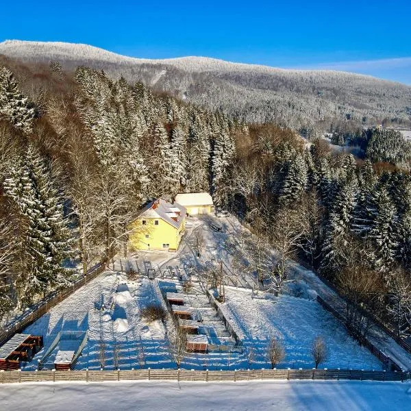 Ferienwohnung Huskyhausen - Urlaub bei Huskys in Alleinlage im Böhmerwald, Hotel in Klaffer am Hochficht