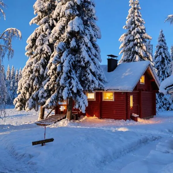 Raiskio에 위치한 호텔 Lapland Aurora Riverside & Sauna