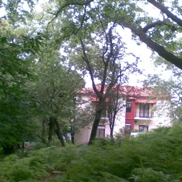 Orpheus Hotel, hotel v destinaci Therma