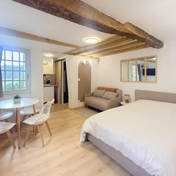 Studio de charme au coeur du vieux Rouen Calme et jardin, hotel in Rouen