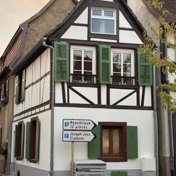 Gîte de la Petite Porte, hotel in Wintzenheim
