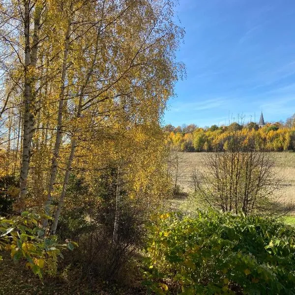 Floral Villa Örebro, hotel sa Örebro