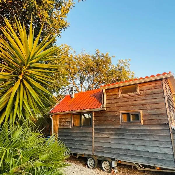 Tiny house natura, hotel in Estevais