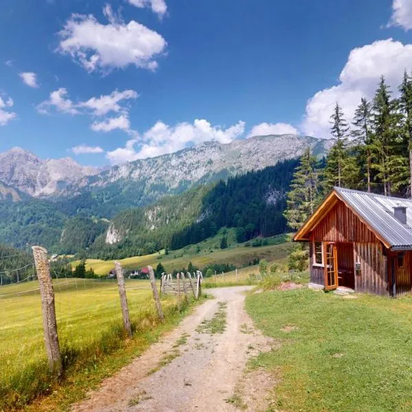 Gscheidegger Hütte, מלון בJohnsbach