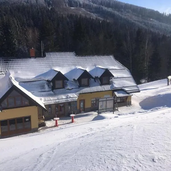 Penzion Přemyslov, hotel sa Přemyslov