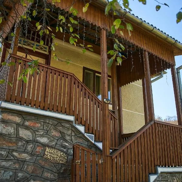 La Umbra Muntilor Traditional House, готель у місті Ocoliş