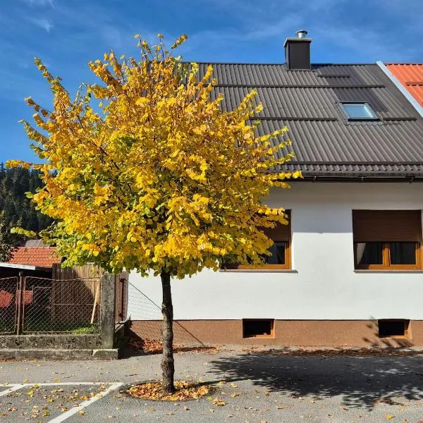 Apartman ''Kod bake'' Delnice, готель у місті Делнице